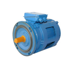 Електродвигун 5АН225L6/24НЛБ