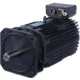 Electric motor PBST 32 (1.5 / 2200-4000)