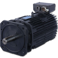 Electric motor PBST 63M (11,0 / 2200-3600)
