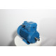 Electric motor 4VR 80 B4