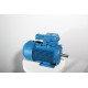 Electric motor 4VR 80 A4