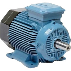 Електродвигун ABB M2BA 200 MLA4 IE2