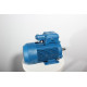 Electric motor 4VR 90 L4