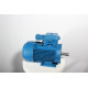 Electric motor 4VR 90 L2