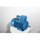 Electric motor 4VR 90 L6