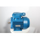 Electric motor 4VR S2 100