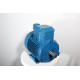 Electric motor 4VR S2 100