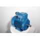 Electric motor 4VR 132 M6