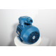 Electric motor 4VR 132 S6