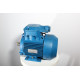 Electric motor 4VR 132 S8