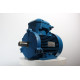 Electric motor 4VR 100 L2