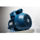 Electric motor 4VR S2 100