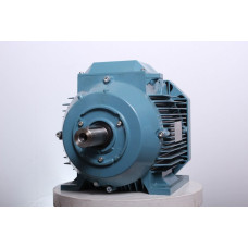 Електродвигун ABB M2AA 160 MLA6
