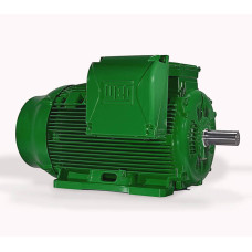 Electric motor W22 P. 315S/M-08 (75,0-740)