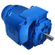 Електродвигун W22 H. 315L-06 (200,0-990)