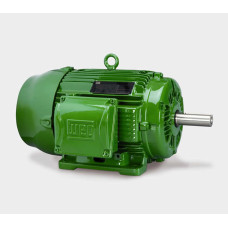 Electric motor W22 P. 180L-06 (15,0-970)