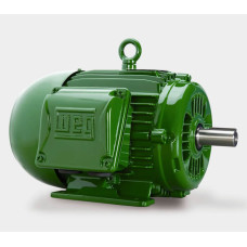 Electric motor W22 P. 80-02 (1,1-2810)