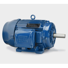 Electric motor W22 H. 180L-08 (11,0-720)