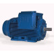 Електродвигун W22 H. 315L-06 (220,0-985)