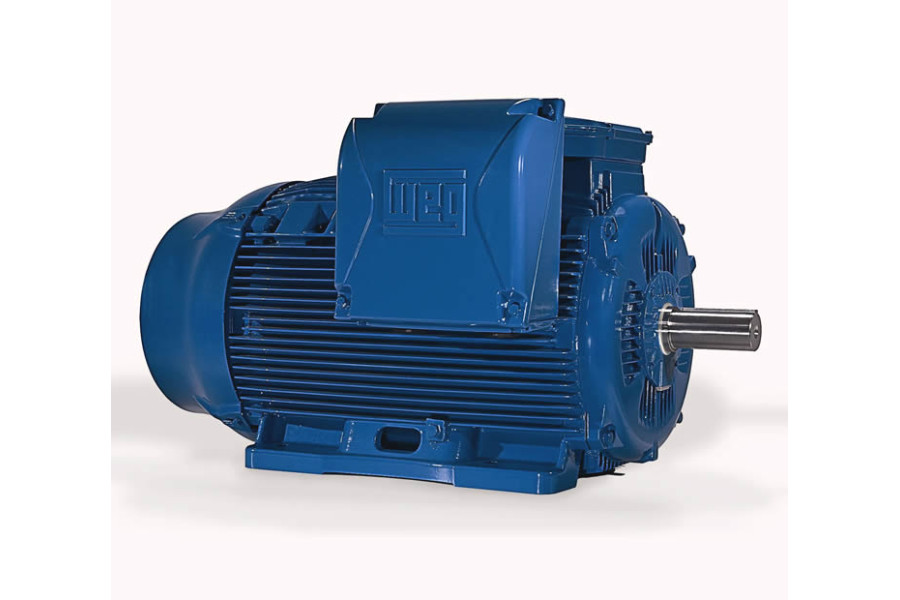 Electric motor W22 S. 315L-06 (250,0-990)