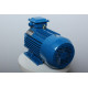 Electric motor AIR 100 L2