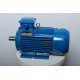 Electric motor AIR 100 L2