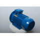 Electric motor AIR 100 L2