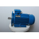 Electric motor AIR 100 L2