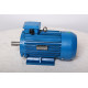 Electric motor AIR 100 L4