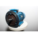 Electric motor AIR 100 L4
