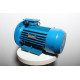 Electric motor AIR 100 L4