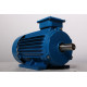 Electric motor AIR 100 L6