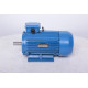 Electric motor AIR 100 L8
