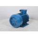 Electric motor AIR 132 M6