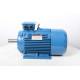 Electric motor AIR 160 M4