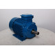 Electric motor AIR 160 M6