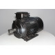 Electric motor AIR 200 L2