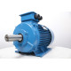 Electric motor AIR 200 L4
