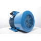 Electric motor AIR 200 L4