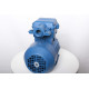 Electric motor 4VR 71 B4
