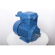 Electric motor 4VR 63 A6