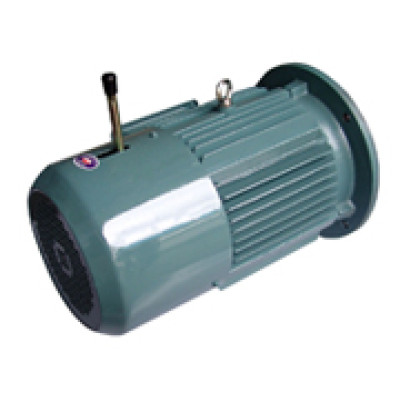 Electric motors special purpose