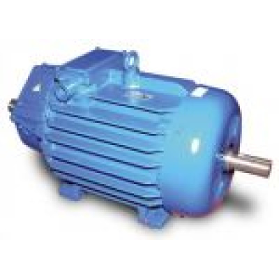 Crane elictric motors series MTF, MTH, MTKF, MTKH, AMTKF, AMTKH, DMTF, DMTH, 4MT, 4MTK, 4MTK, 4MTM, DMTKM