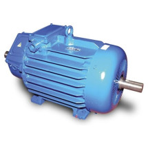 Крановий асинхронний електродвигун MTKH 112-6 (MTKF 112-6, AMTKH 112 M6, DMTKF 112-6) з короткозамкненим ротором