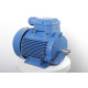 Electric motor 4VR 100 L6