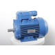 Electric motor 4VR 100 L6