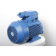 Electric motor 4VR 100 L6