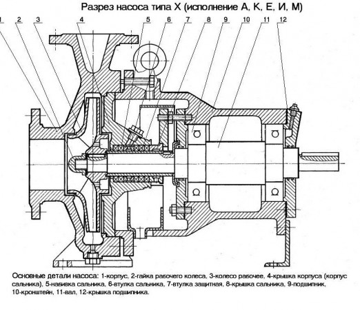nasos x