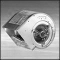 Строениея Dospel Tampa 5
