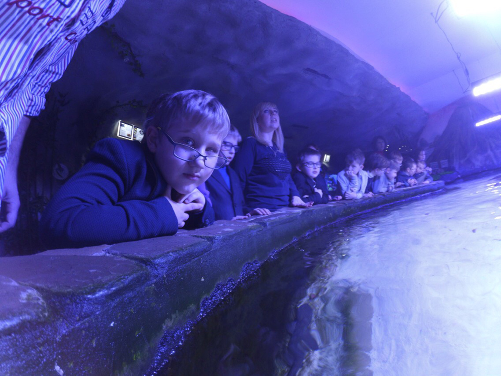 Океанариум Океанариум